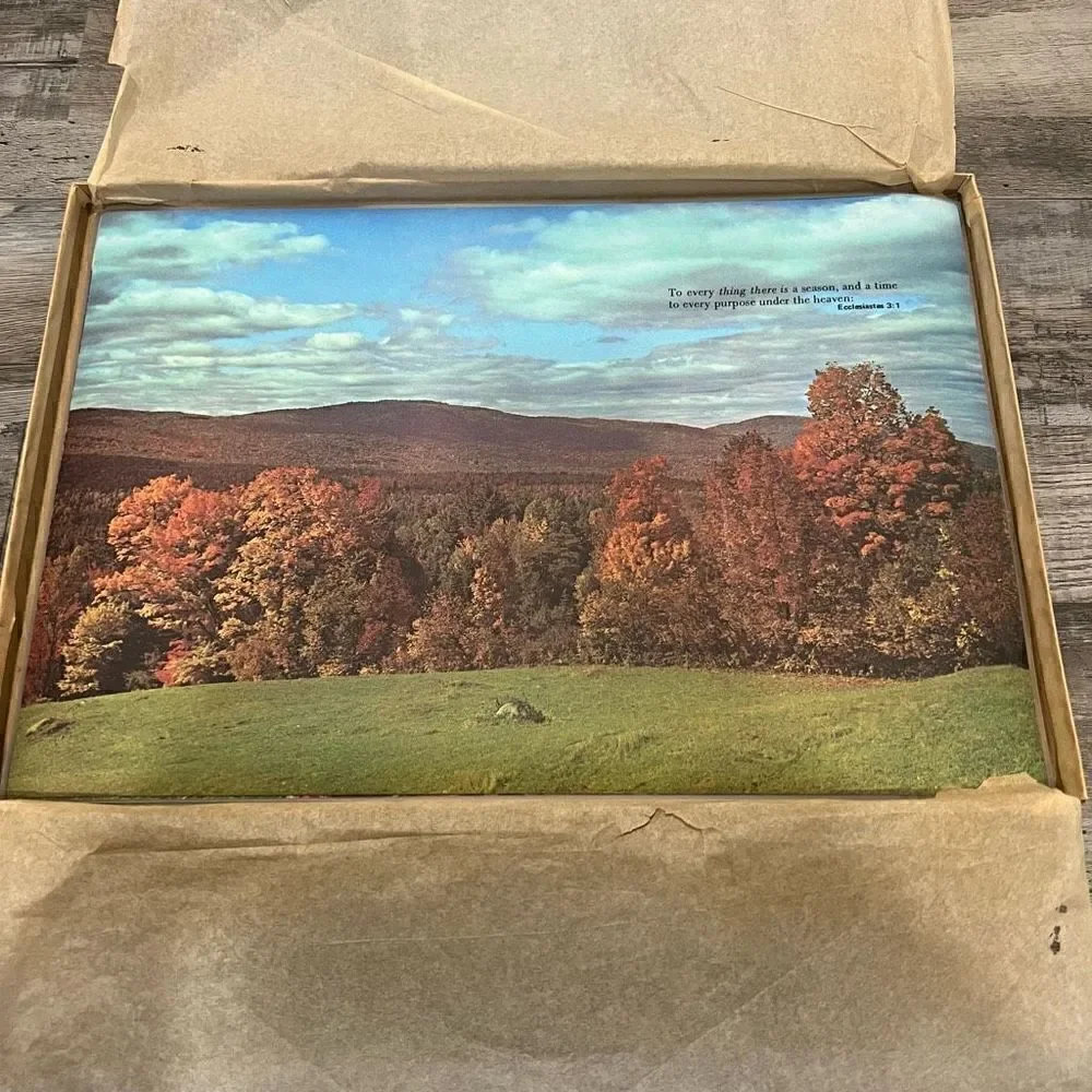 Set of 6 vintage permanent plastic coated inspirational placemats
